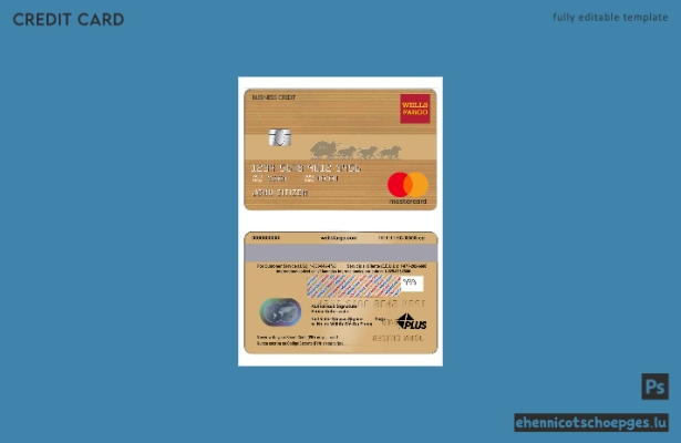 USA Wells Fargo Bank Mastercard braune Mustervorschau